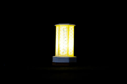 BoneGlow: Illuminating Elegance - BoneCraft Lamp